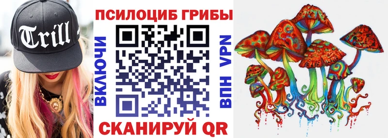 Псилоцибиновые грибы Psilocybe  Купить  Петров Вал 